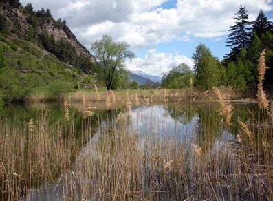 Riserva naturale del Lolair