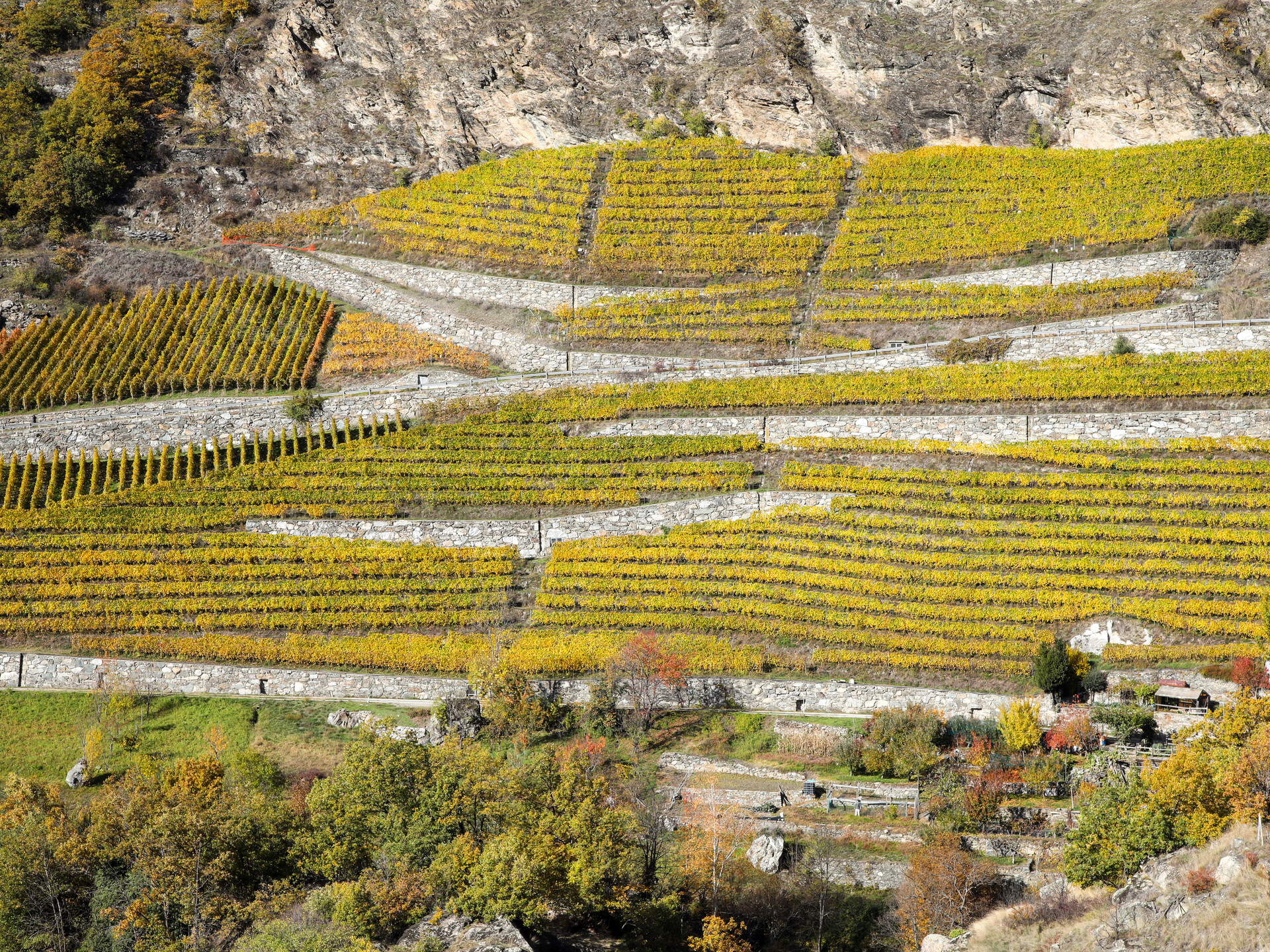 Vigneti dell'Enfer di Arvier