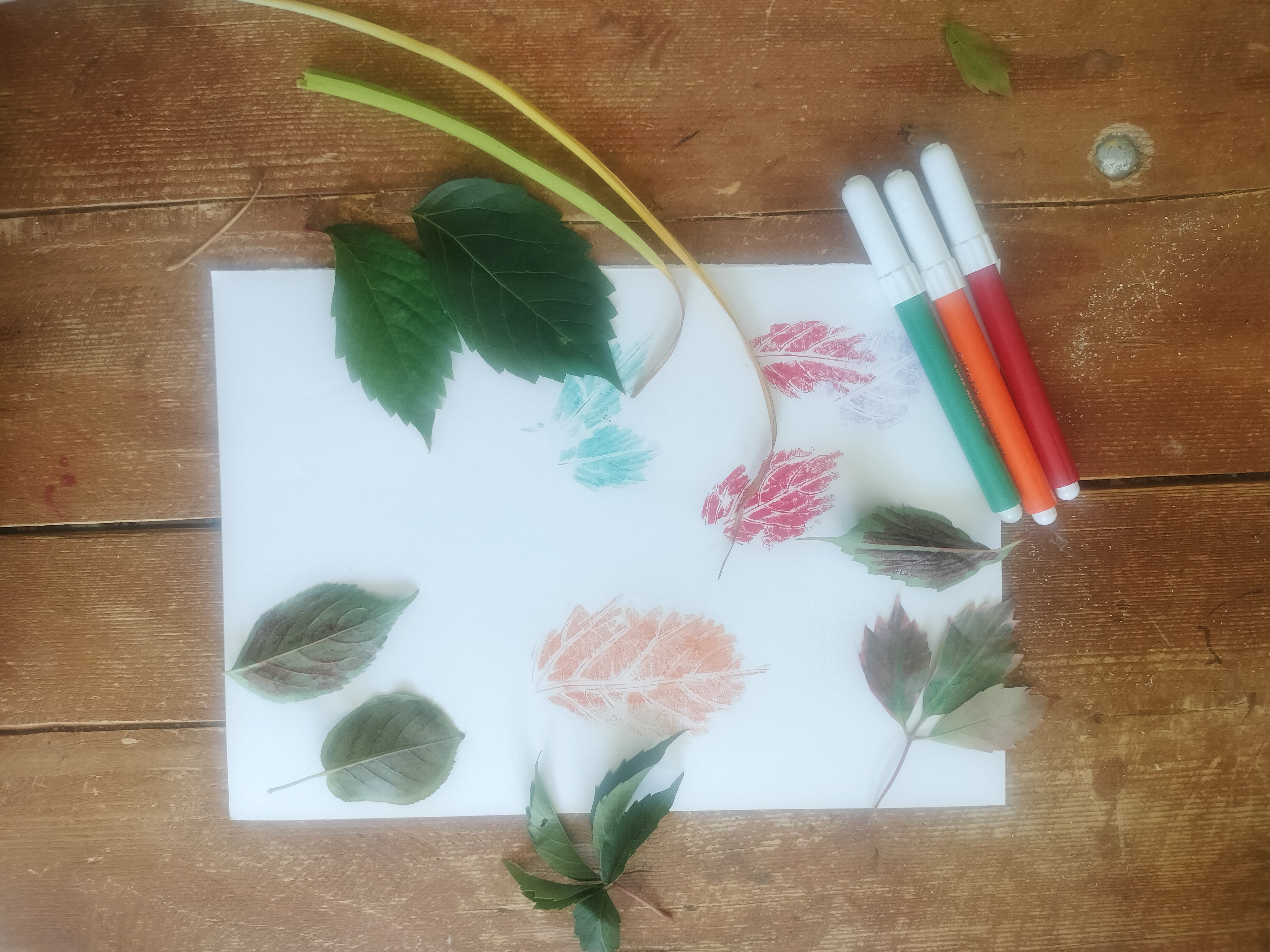 colori