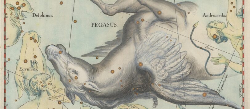 Pegasus