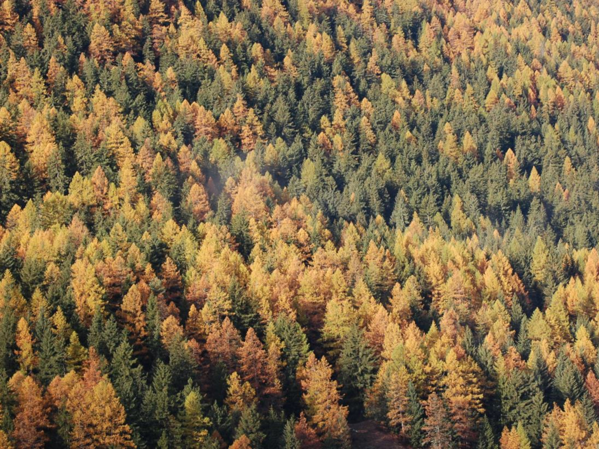 Autunno