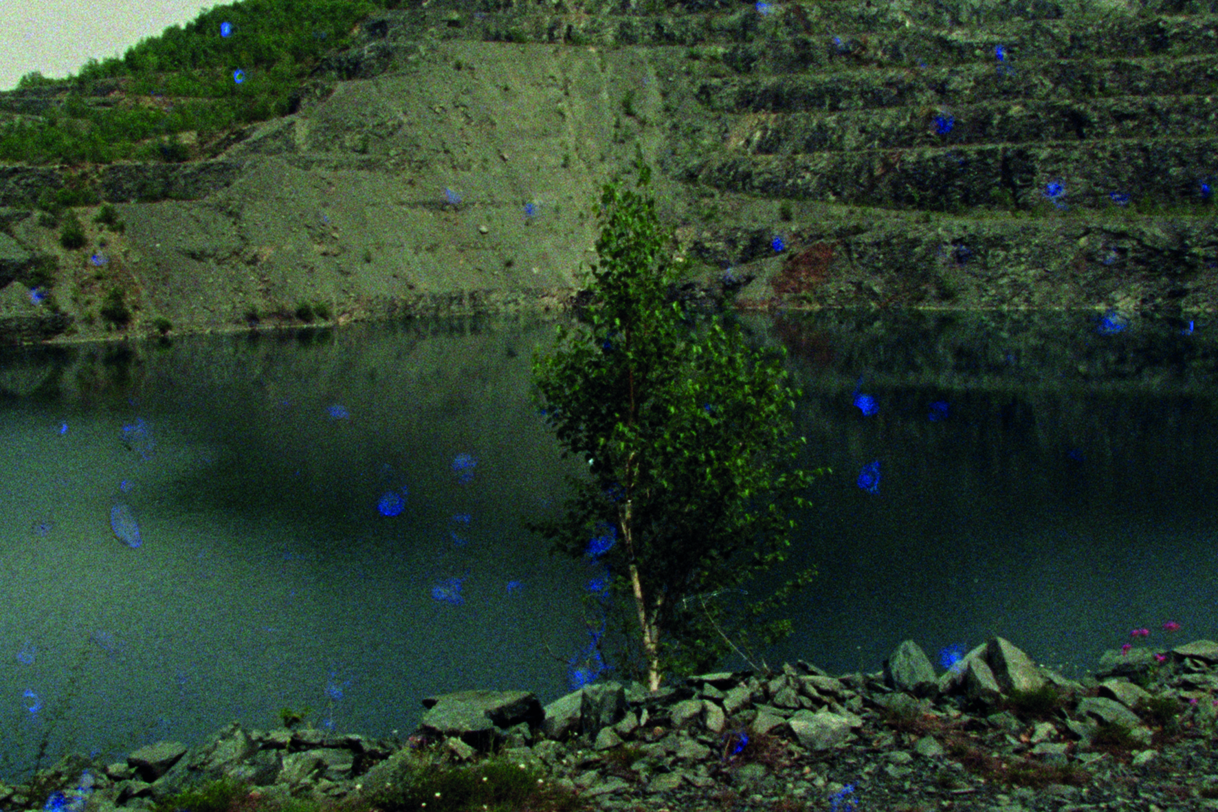 Paesaggio animato