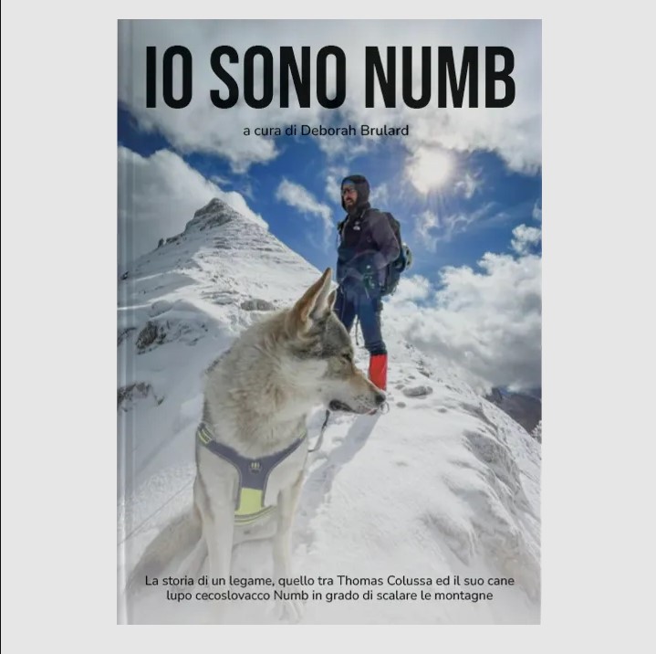 Libro