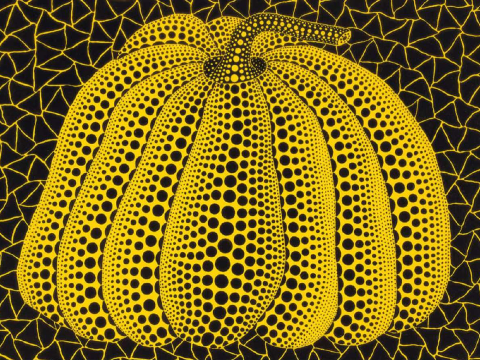 Zucca di Yayoi
