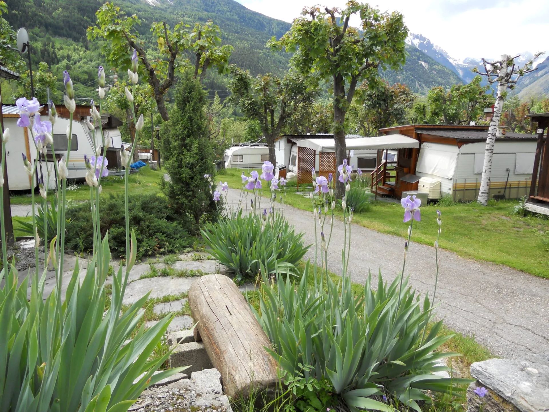 Camping Mont Blanc - pitches