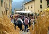 Marché au Fort