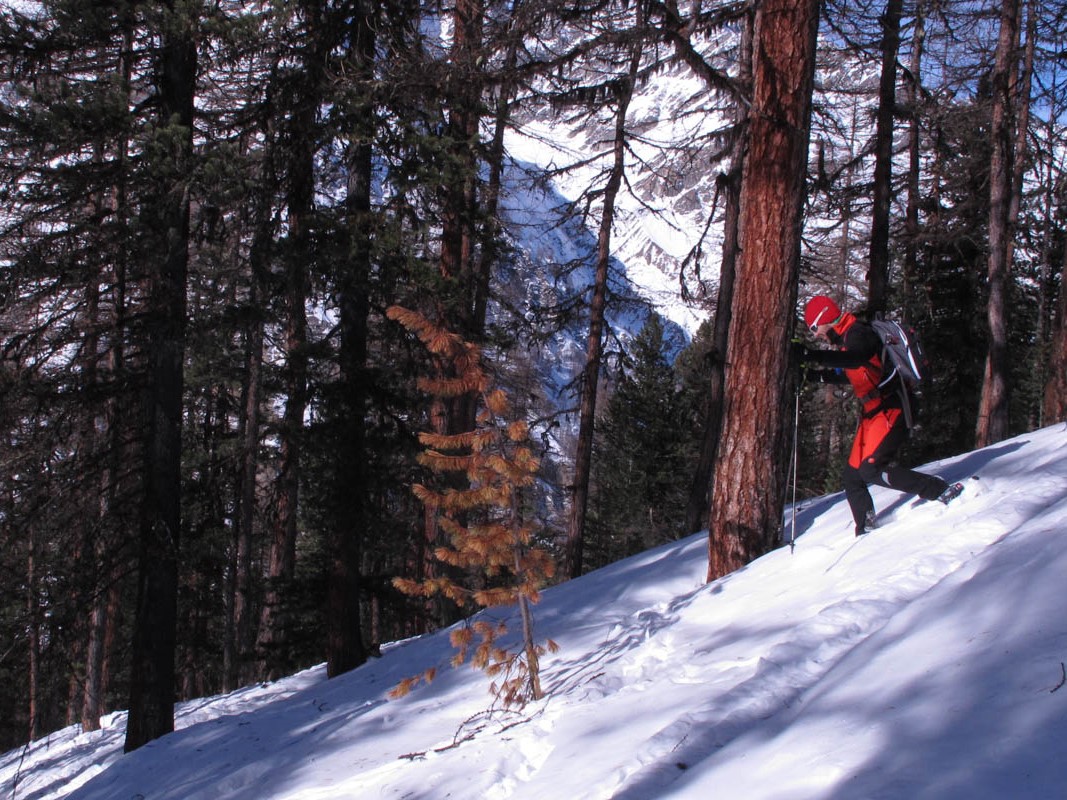Ciaspolata Santo Stefano