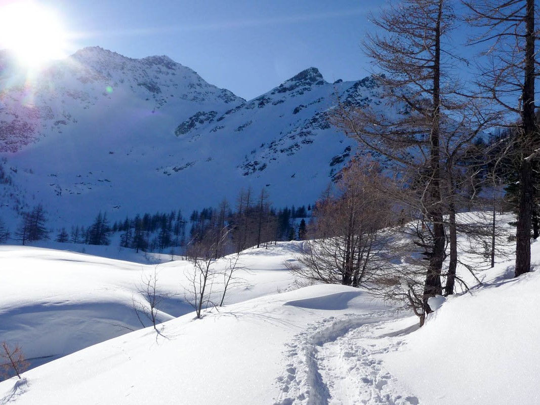 Ciaspolata Santo Stefano