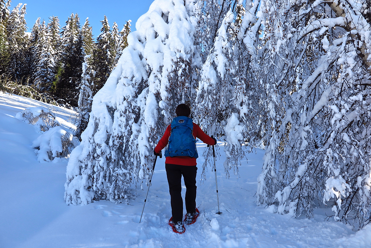 Sirdar Montagne e Avventura
