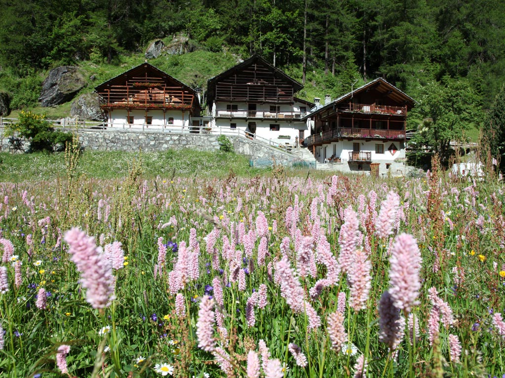 Architettura tipica Walser - Gli stadel
