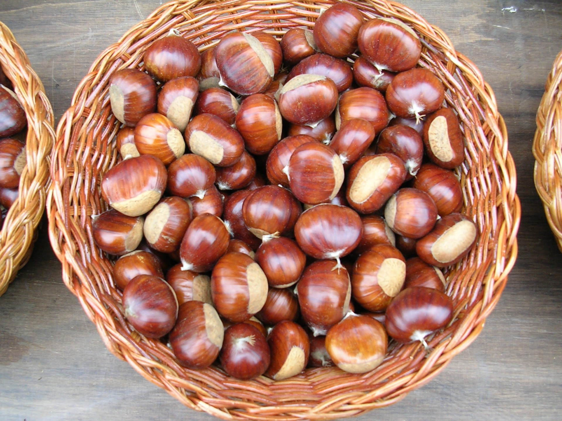 Castagne