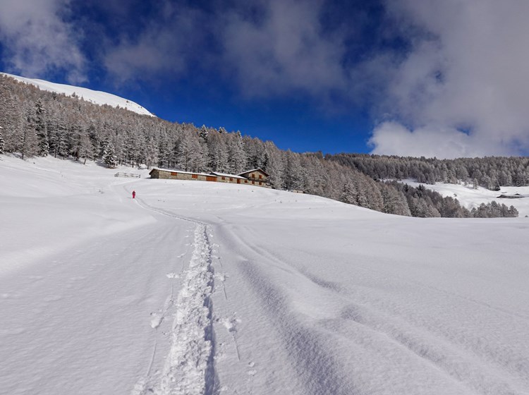 
Tsa de Fontaney - Nus