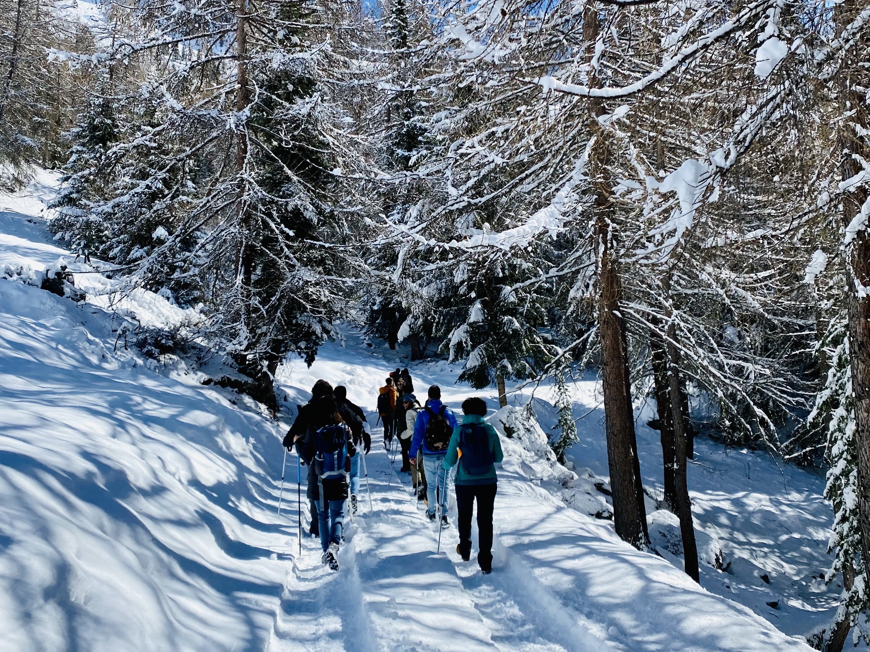 Escursione con guida 