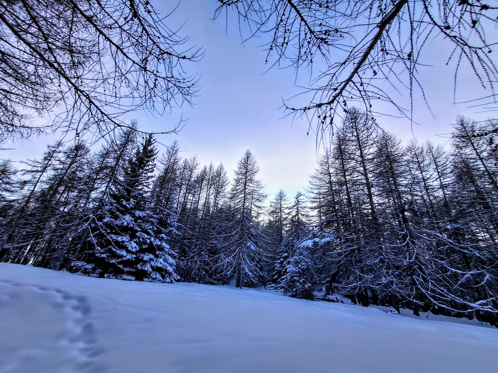 Ciaspolata al tramonto in Val d’Ayas