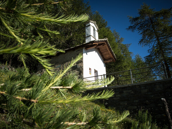 Notre-Dame-des-Neiges