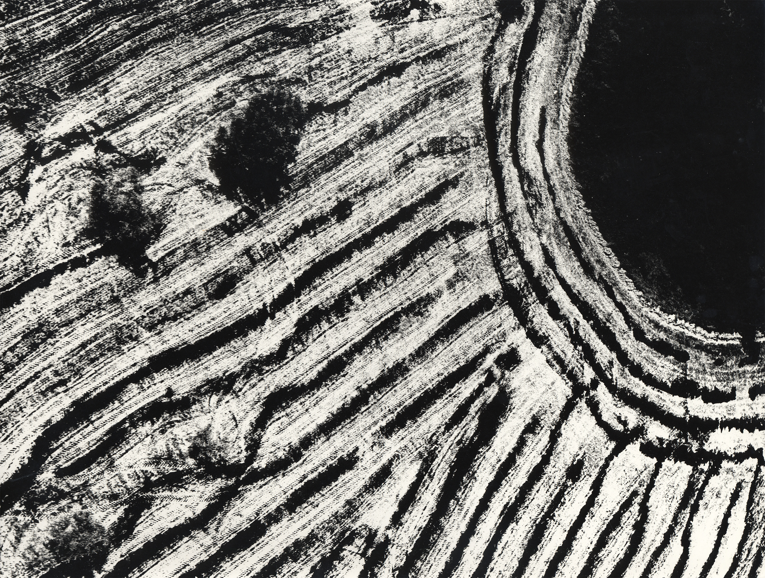 Mario Giacomelli, Presa di coscienza sulla natura, 1976-80
gelatina ai sali d’argento
© Archivio Mario Giacomelli