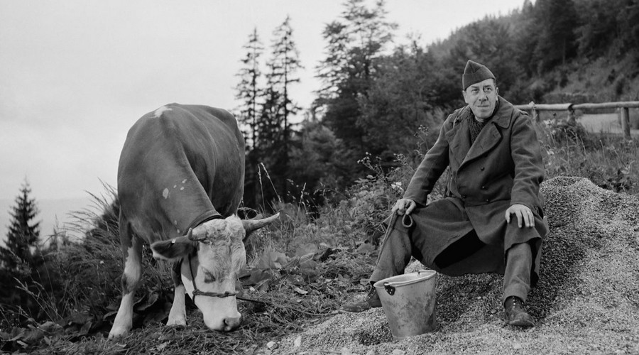 la vache et le prisonnier