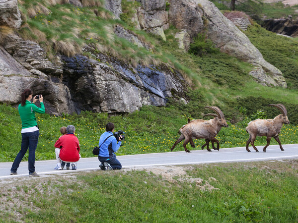 Parco Nazionale Gran Paradiso