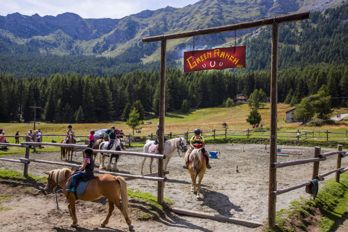 Lezione di equitazione