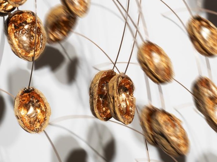 Chicco Margaroli, "In nuce". (SteVePhoto)