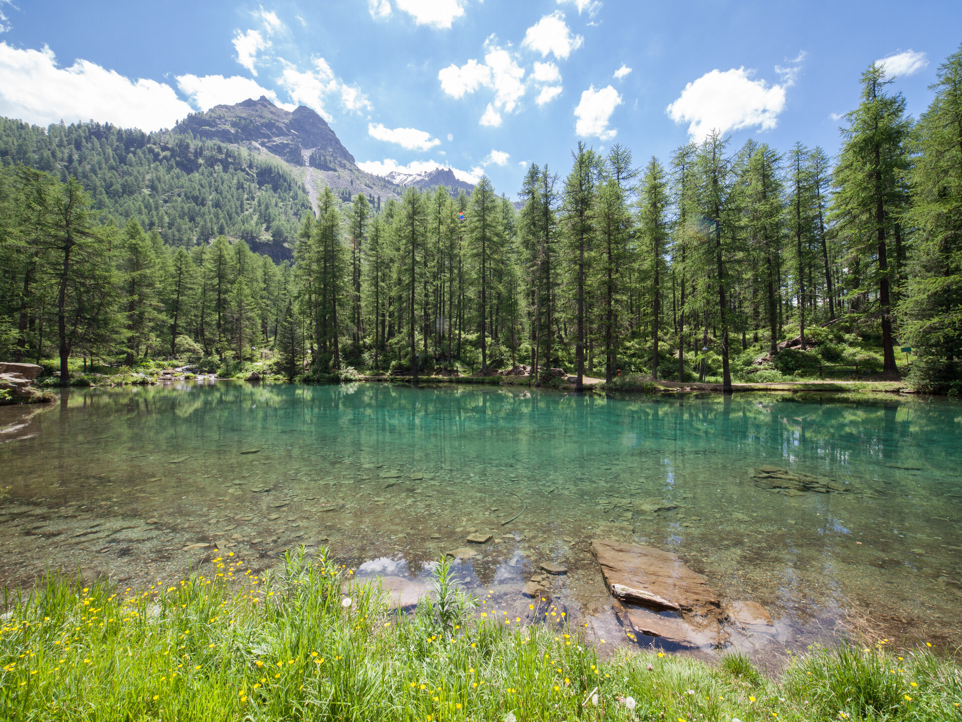 Lago del Pellaud in estate