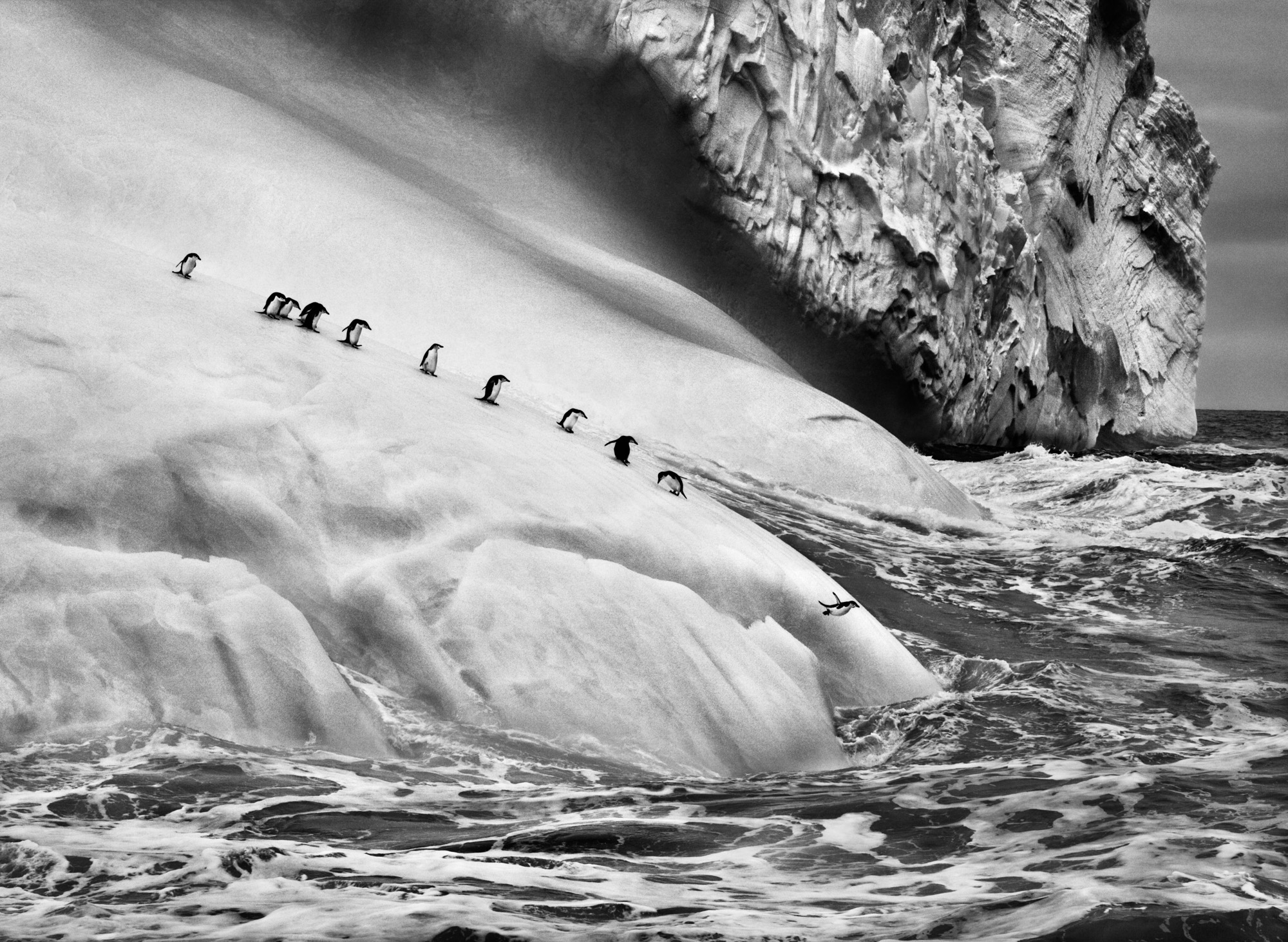 © Sebastião Salgado/Contrasto.
Gli iceberg sono pezzi di ghiacciaio che si staccano e vanno alla deriva nel mare. Isole Sandwich Australi, 2009