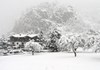 Abbondante nevicata