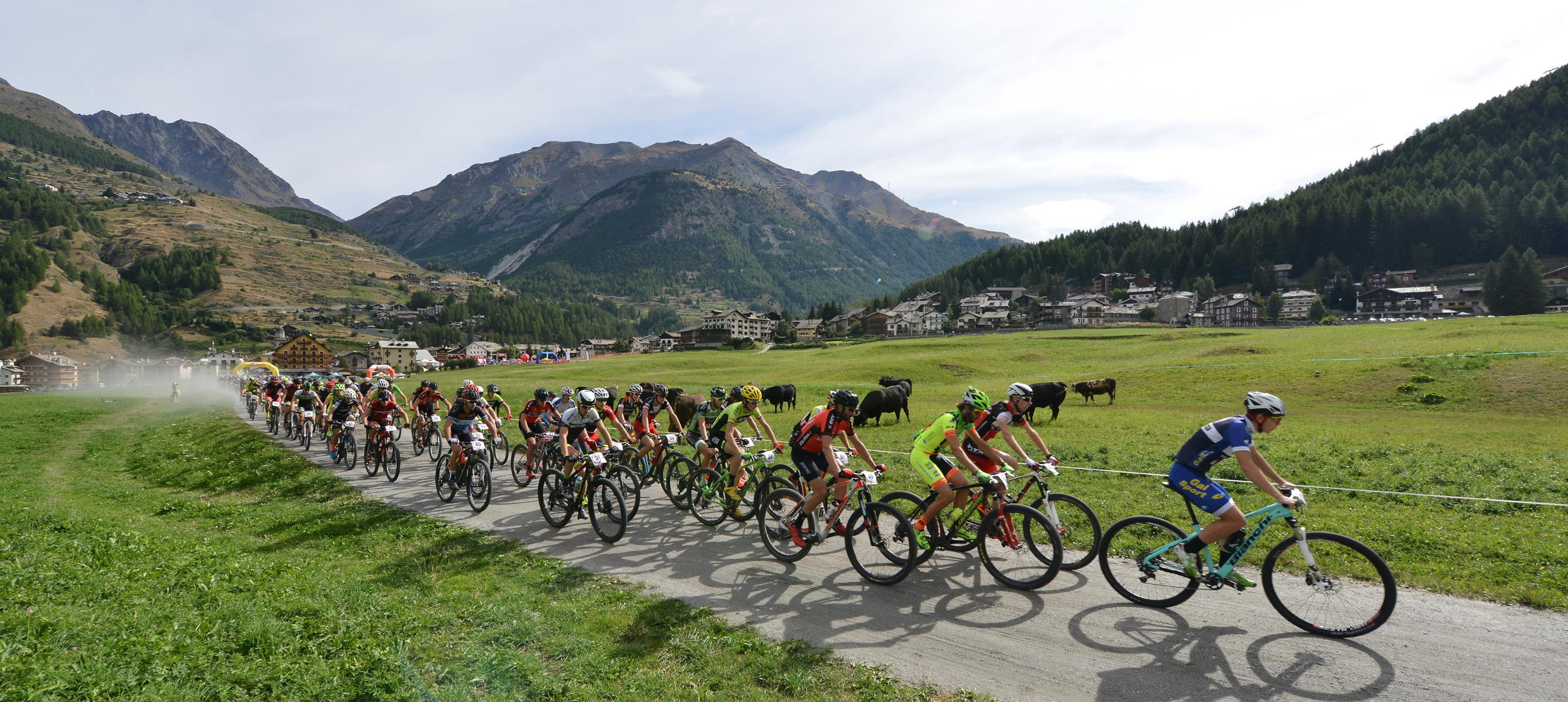 GranParadisoBike