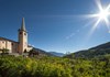 Viñedos de Introd