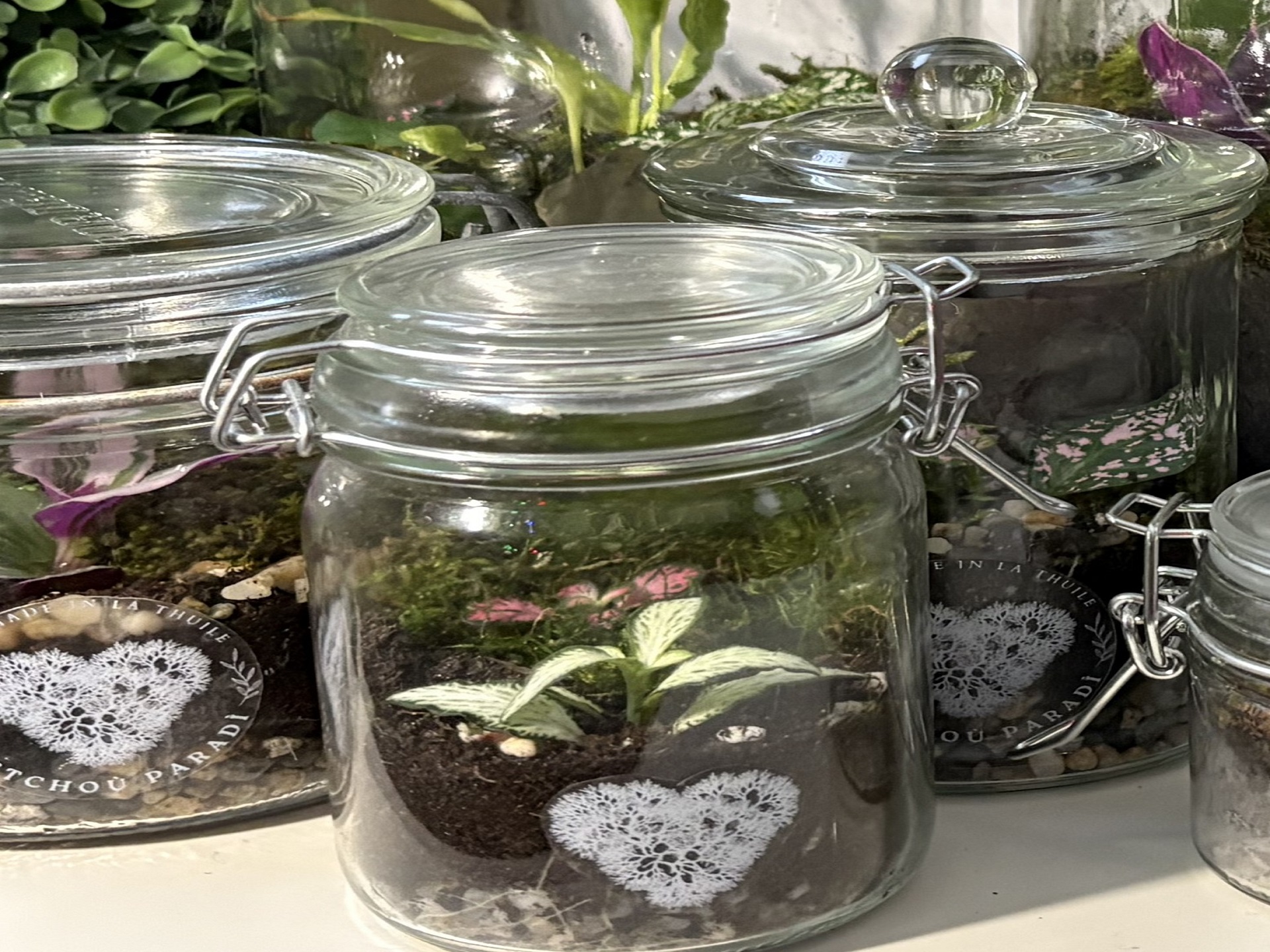 terrari